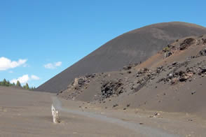 Cinder Cone / Introvert